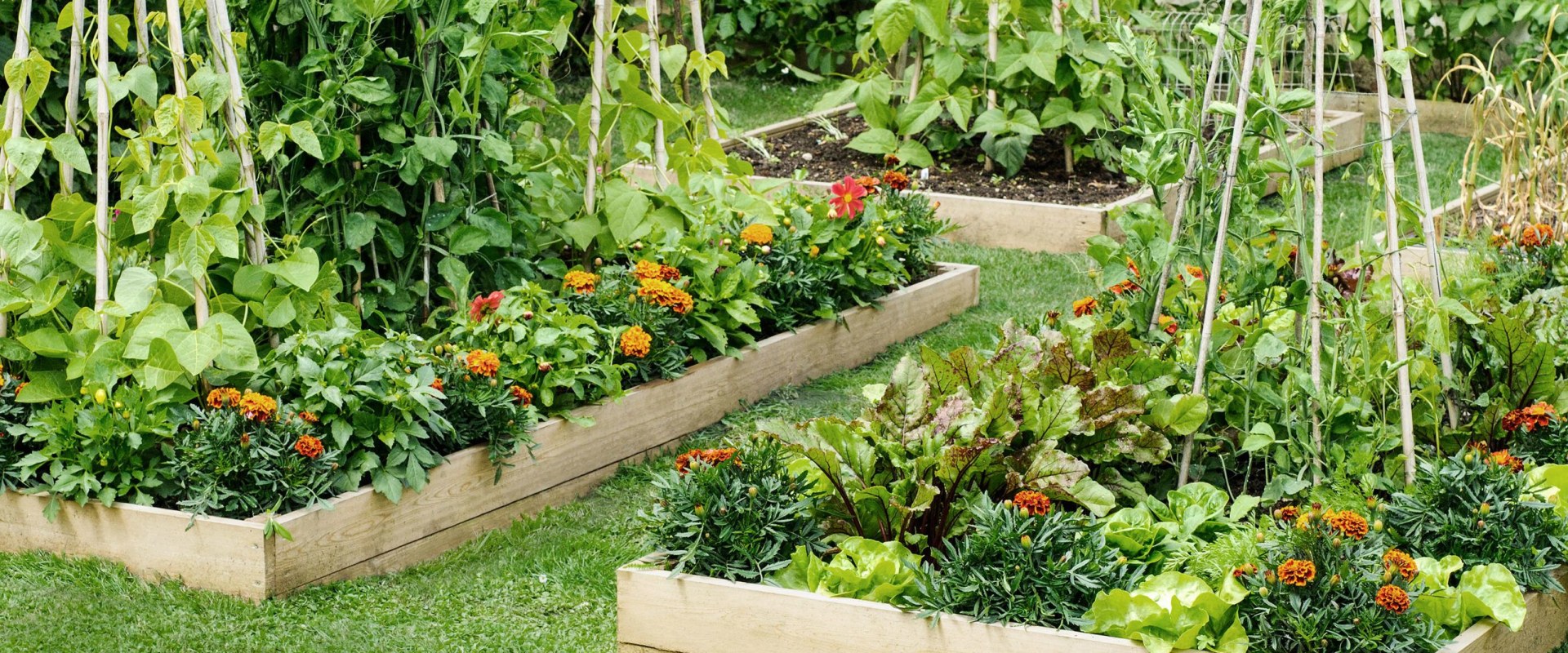 Raised Bed Gardening: A Comprehensive Overview